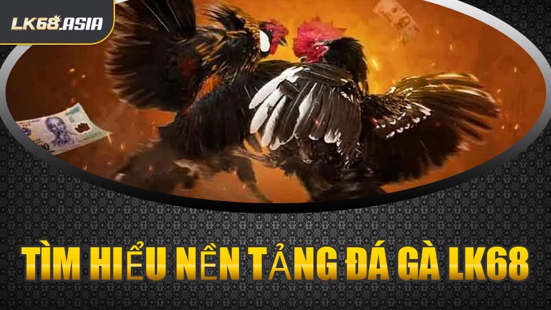Tìm Hiểu Nền Tảng Đá Gà LK68